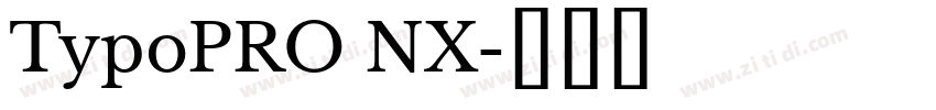 TypoPRO NX字体转换 TypoPRO NX字体转换